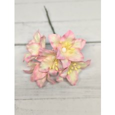 LY1-526 Lilie papierowe I'm Roses -CREAM PINK -kremowo-różowy 5 szt