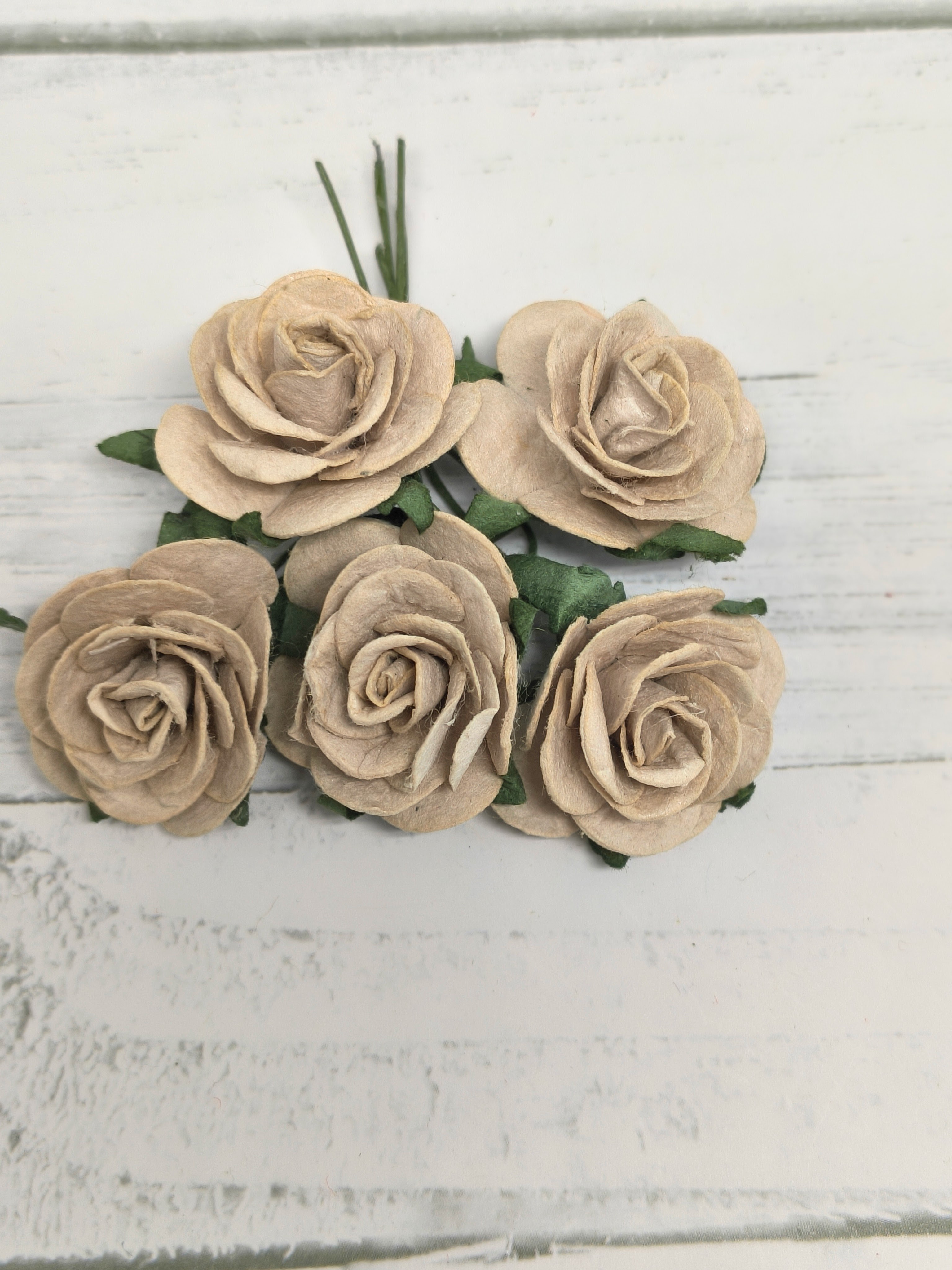 OR-R6-11 Papierowe różyczki Open Roses I am Roses-TAUPE BEIGE-beż piaskowy-pęczek 5 szt