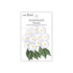 CR109878 Papierowe kwiatki - Little Birdie Handmade Printed Paper Flowers Cyra Frosty White 20szt