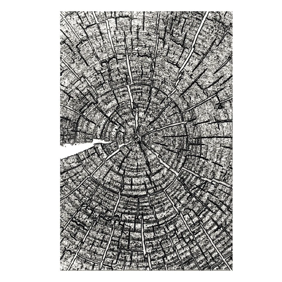 Folder do embossingu Sizzix 3D - A5 Tree Rings by Tim Holtz (667258)