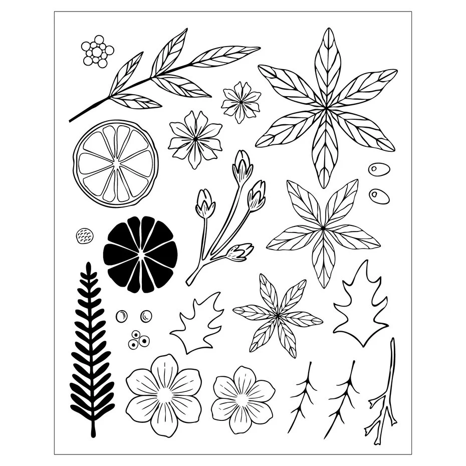 Stemple i wykrojniki Sizzix – Winter Florals by Vicki Boutin, 24 stemple + 44 wykrojniki Framelits (667192)
