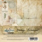 AA-VB-12 Alchemy of Art - 6x6'' - zestaw papierów Vintage Botanical