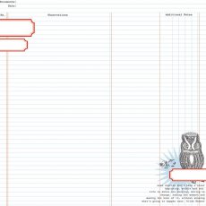 TCSN1004 Papier dwustronny 30,5 x 30,5 cm Owl Ledger - Stationery Noted Teresa Collins 