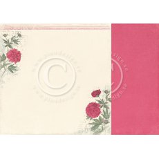 PD3601 Papier dwustronny Peony - Vintage Garden