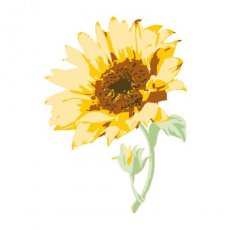 665975 Sizzix  Stemple warstwowe - Sizzix • Layered Clear Stamps Sunflower Stem