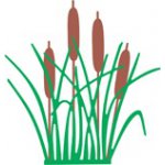 B389 Wykrojnik Cheery Lynn Designs Dies - Cattails and Reeds