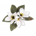 659264 Thinlits Die Set 8PK - Flower, Stephanotis
