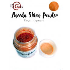SHIN-21 Ayeeda Shiny Powder Orange
