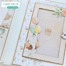 Album Baby Party