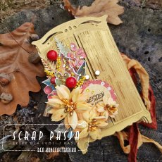 Album - szafa