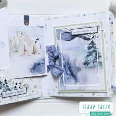 Album z kolekcji "Arctic Winter" Craft&You Design