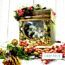 Leśny box