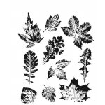  CMS450 Stemple SA / Tim Holtz Cling Stamp “Leaf Prints 2"  Liście 2