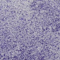 CSM903016 MGIEŁKA PERŁOWA COSMIC SHIMMER MISTER - purple violet