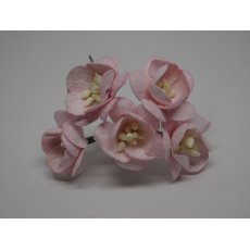 ILC-F-CHERRY08 Kwiat wiśni blady róż - 5sztuk
