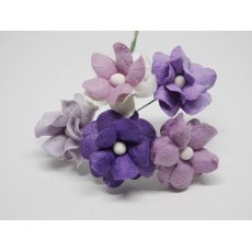 ILC-F-FILIP04 Kwiatki papierowe filipinki - mix fioletowe 5szt