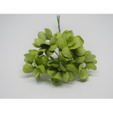 ILC-F-FILIP18 Kwiatki papierowe filipinki -zieleń limonka 5szt
