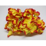 ILC-F-GARD08D Gardenia żółto-czerwone- 6,5 cm -5szt