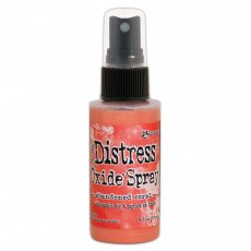 TSO67528 SPRAY OXIDE Distress -Abandoned coral