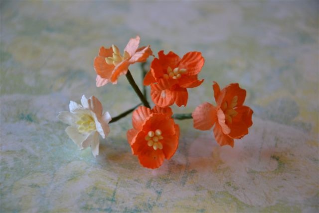  Kwiat wiśni mix białe/pomarańcz