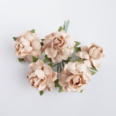 R19-001 Róże papierowe - beżowe  -5szt
