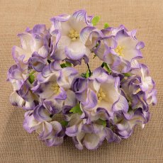 SAA-347 Gardenia 2-tonowa lilac- 3,5 cm