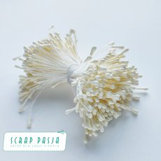 SP-ST002 Pręciki do kwiatów - wanilia